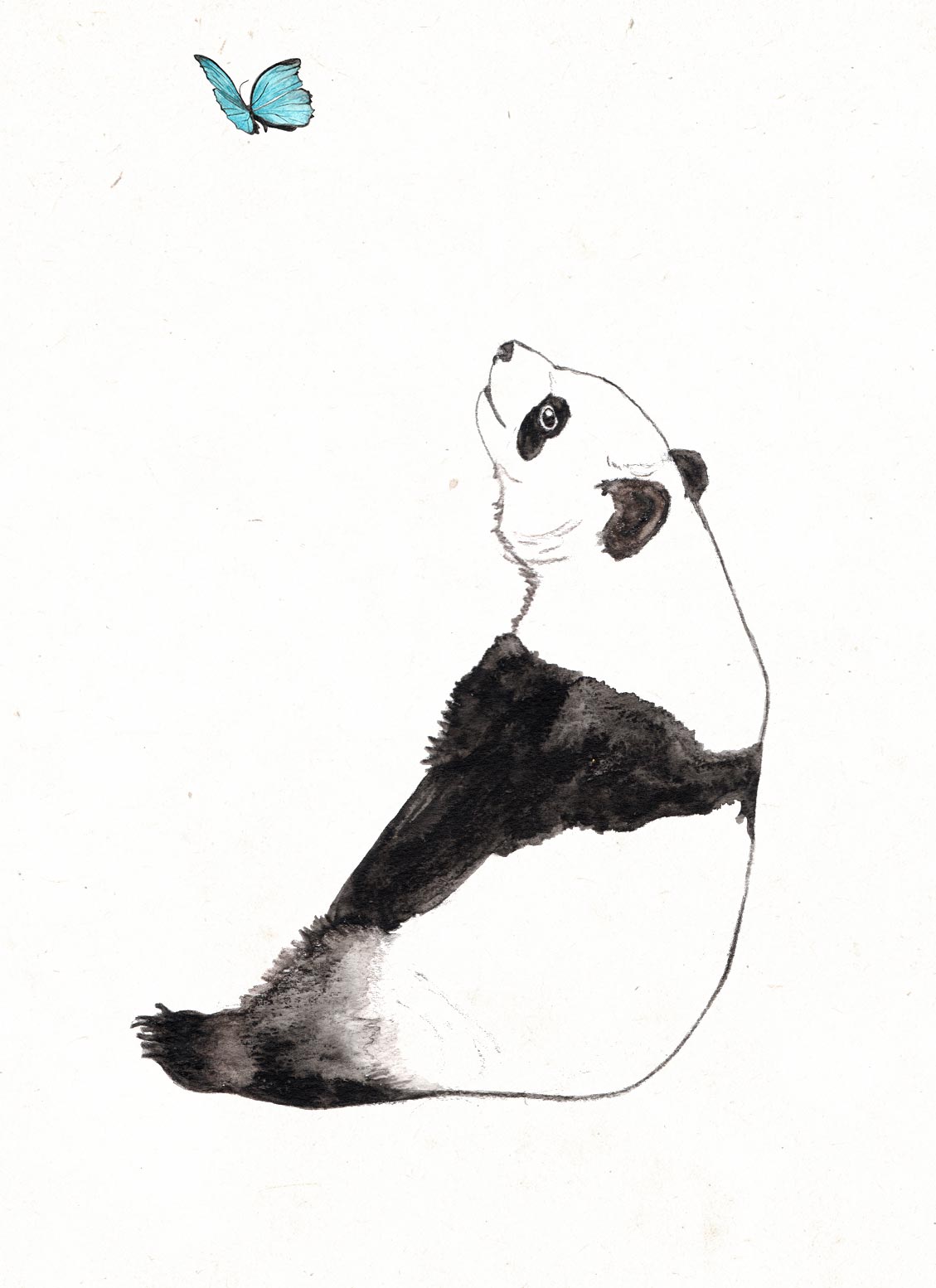 Panda 1